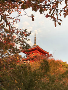 A Tapestry of Tranquility: The Profound Importance of Autumn in Japan