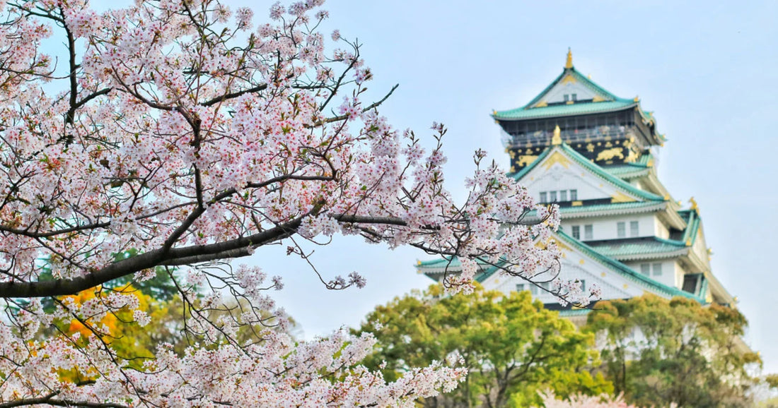 Exploring Osaka: A Casual Guide to Some Cool Spots