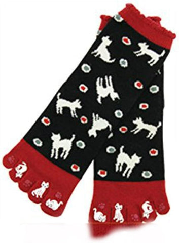 Shinobiya Japanese Tabi Socks Design Gohonyubi Neko Mizutama