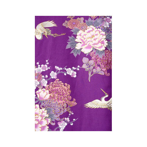 Damen Yukata: Schöne Maiko