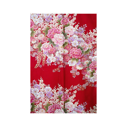 Damen Yukata: Schöne Maiko