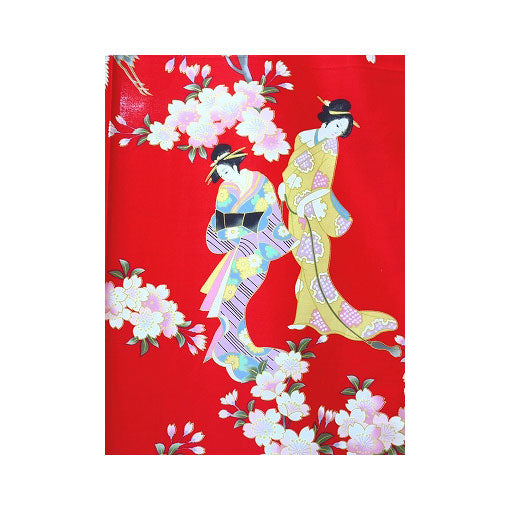 Damen Yukata: Schöne Maiko