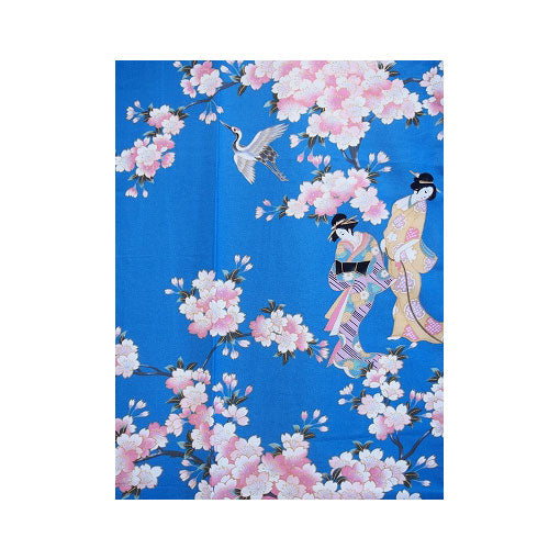Damen Yukata: Schöne Maiko