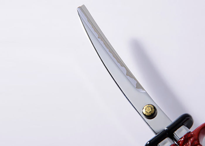 Japanese Sword Scissors Oda Nobunaga model with Gift Box