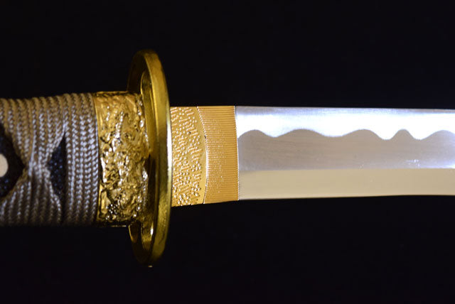 Kurzes Katana: Gokotai