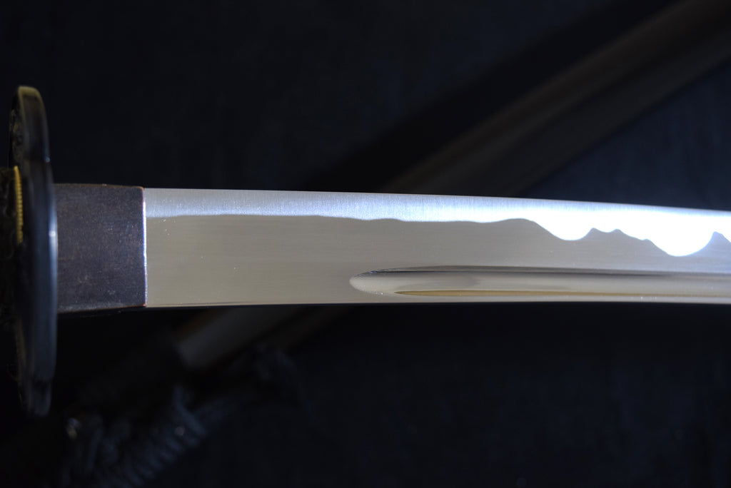 Iaito: Katana For Practice - Izuminokami Kanesada